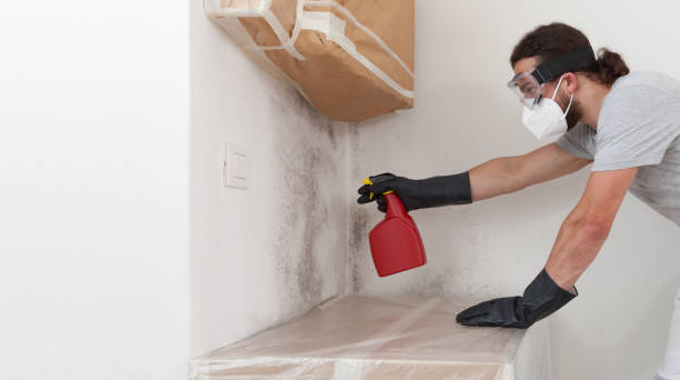 Professional Mold Removal technician working in Edgewood, TX